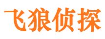 孟州市私家侦探